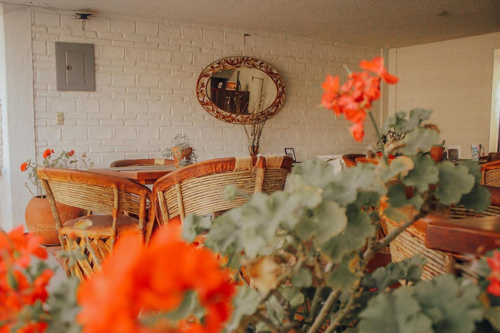 Hotel Ilebal Cuernavaca Centro - Lugar Con Encanto! 외부 사진