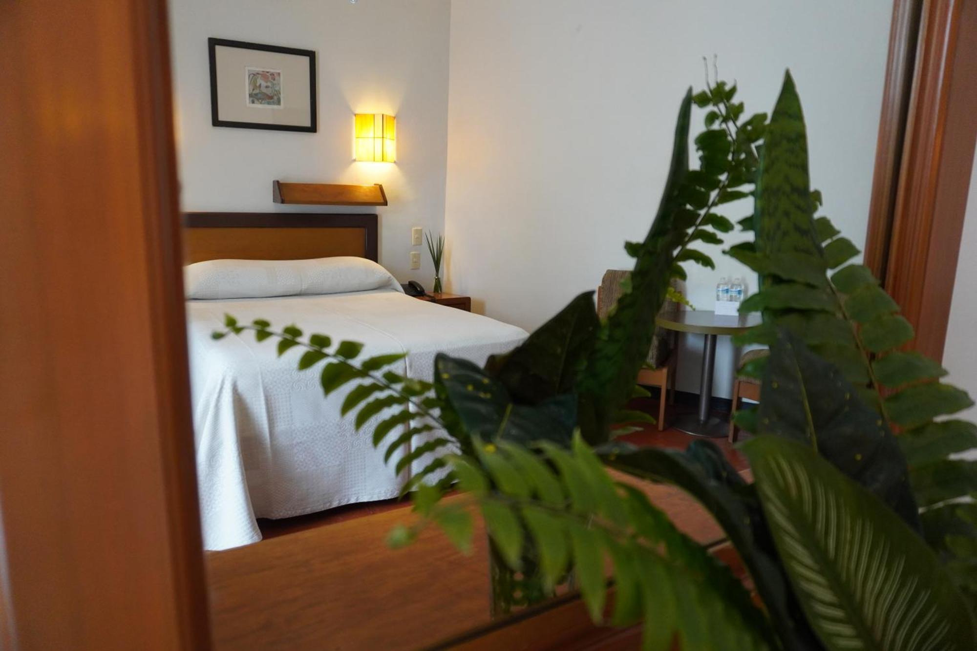 Hotel Ilebal Cuernavaca Centro - Lugar Con Encanto! 외부 사진