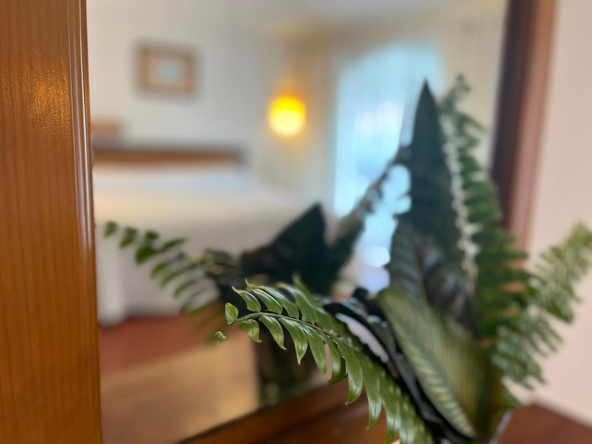 Hotel Ilebal Cuernavaca Centro - Lugar Con Encanto! 외부 사진