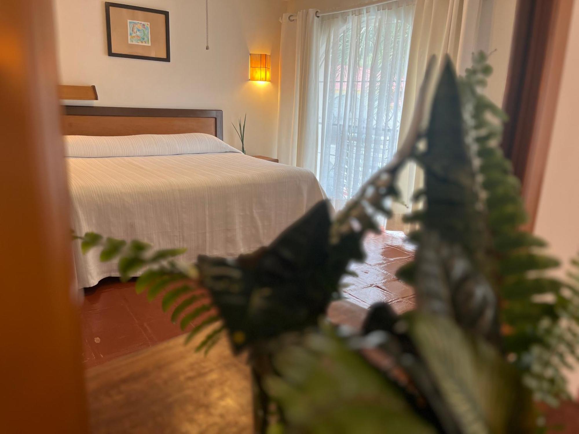 Hotel Ilebal Cuernavaca Centro - Lugar Con Encanto! 외부 사진