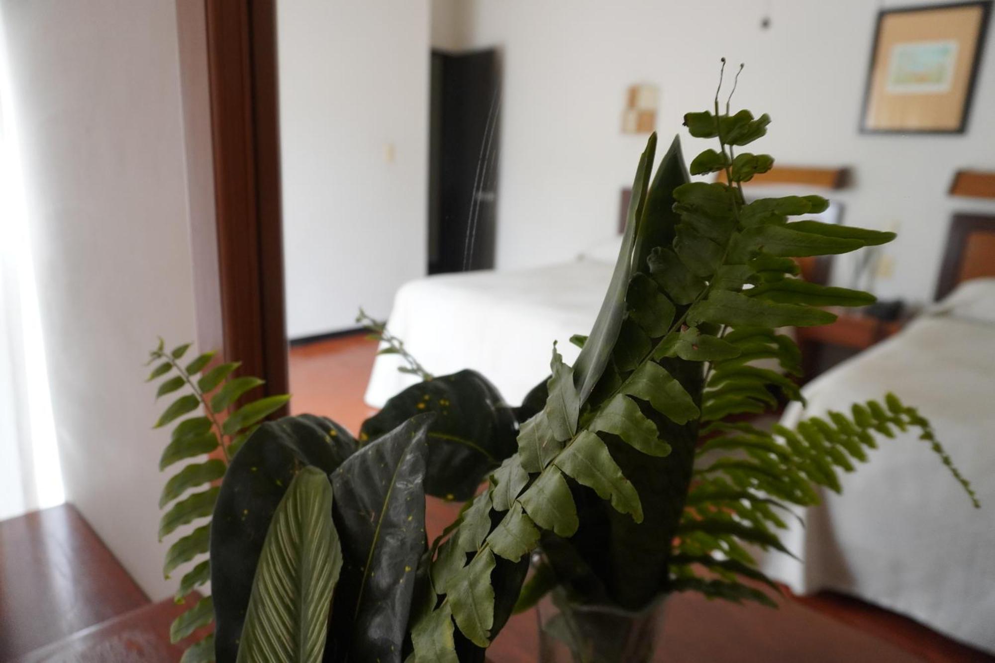 Hotel Ilebal Cuernavaca Centro - Lugar Con Encanto! 외부 사진